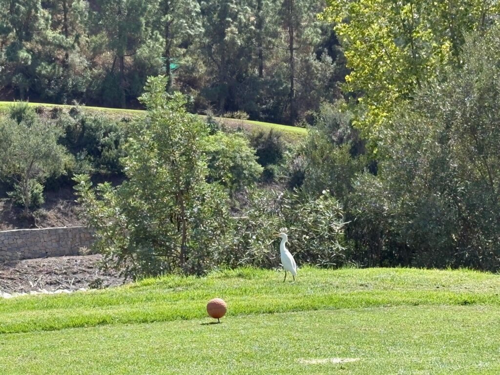 Los Arqueros sept 2025