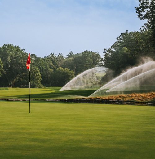 10ed225a67a8bd8485411a355dda290f9def590f